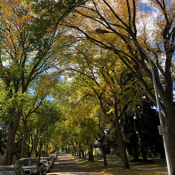 Meet your Posher, Victoria - Picture 1 of 1